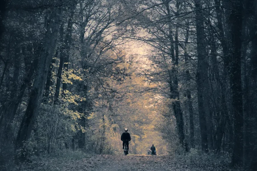 Hiking Tips And Trails