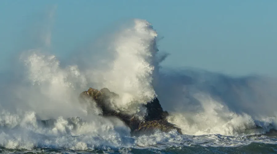 Secure Or Store… Last Resort, Cover