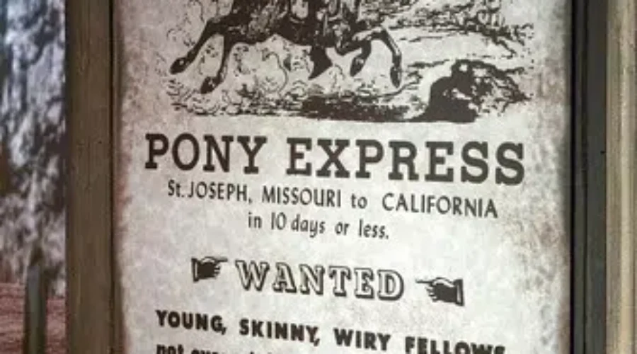 Shut The Store Door, We Are Buying Online