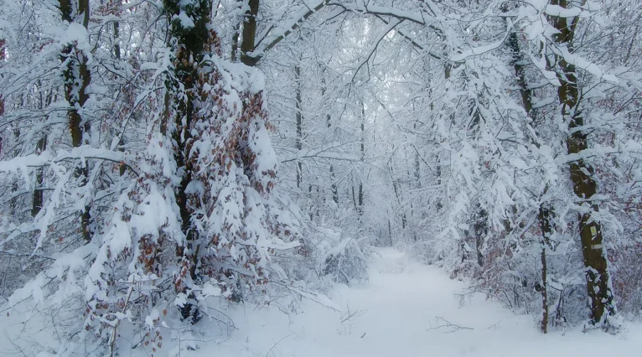 What Is Winter Solstice?