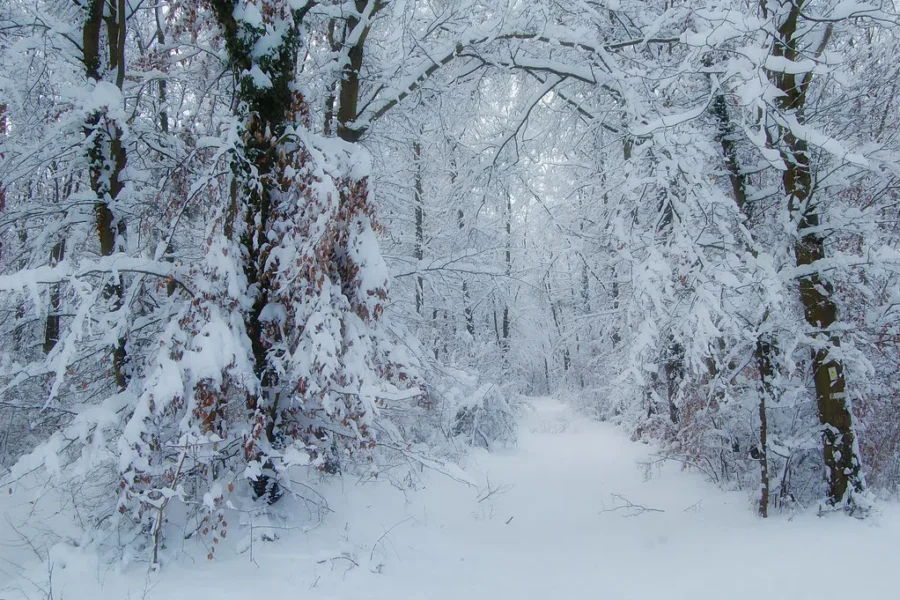 What Is Winter Solstice?