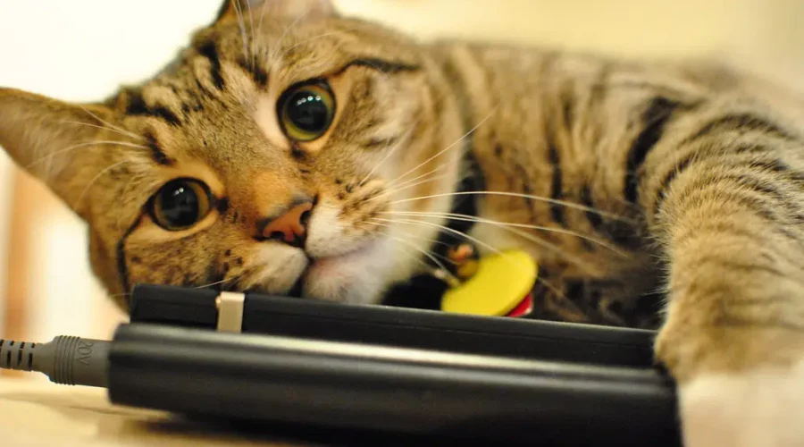 Fight Boredom AND Maybe Win A Prize, Or Be Amazed