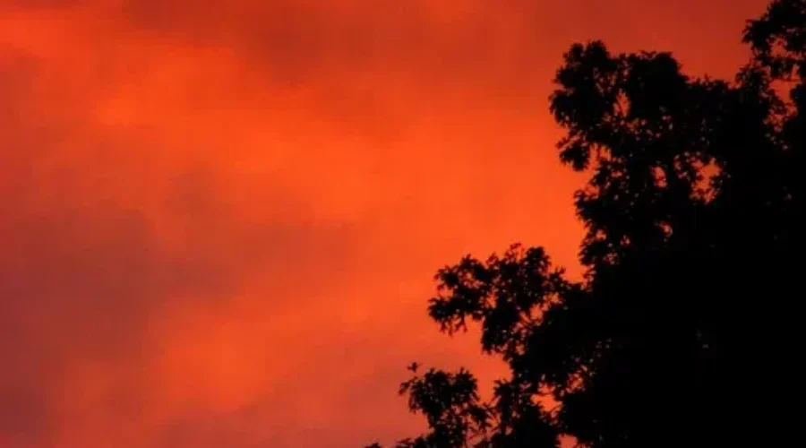 Beautiful Tributes For This Weekend’s Victims