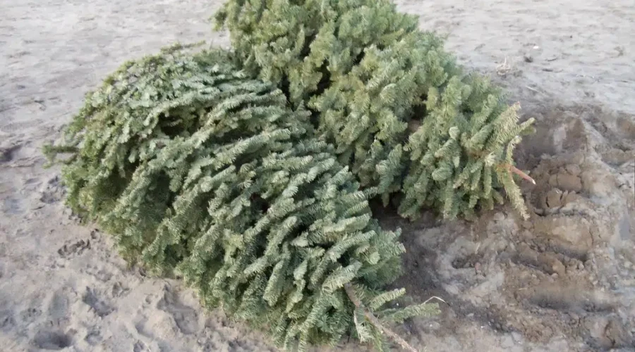 Are You Waiting For Good Luck?