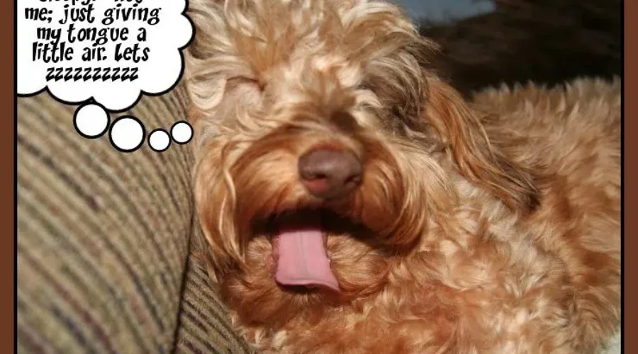 Sleepy? How To Beat The Time Change