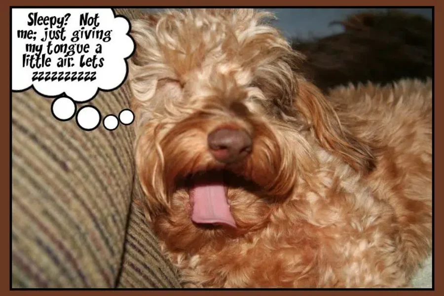 Sleepy? How To Beat The Time Change