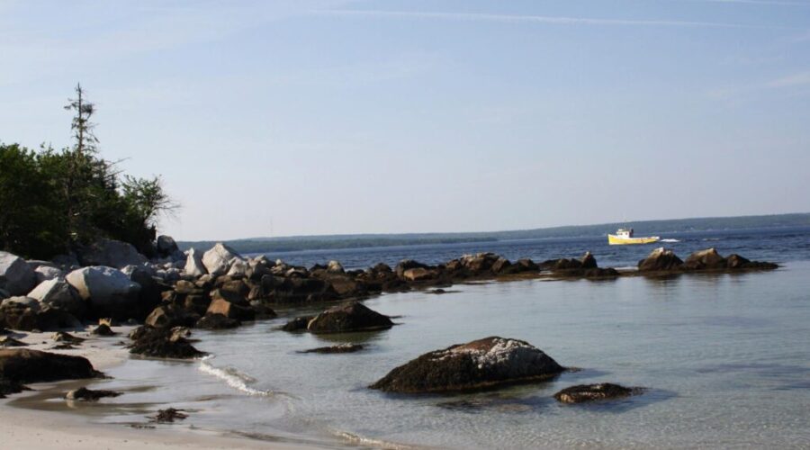 A one-stop hub for everything South Shore! YourSouthShore.ca
