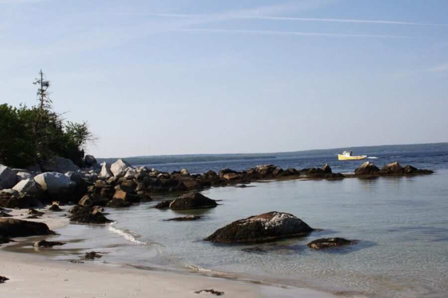 A one-stop hub for everything South Shore! YourSouthShore.ca