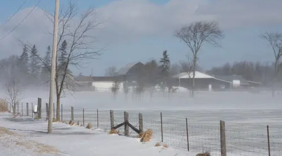 What To Do When It Is Minus OH MY COLD!!