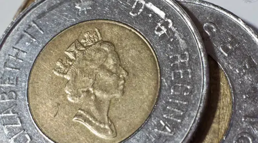 Keep A Look Out For A New Toonie In Circulation!!