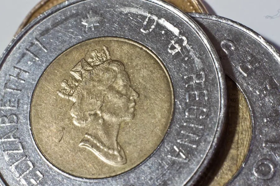 Keep A Look Out For A New Toonie!!! It Could Be In Your Change Soon!!!