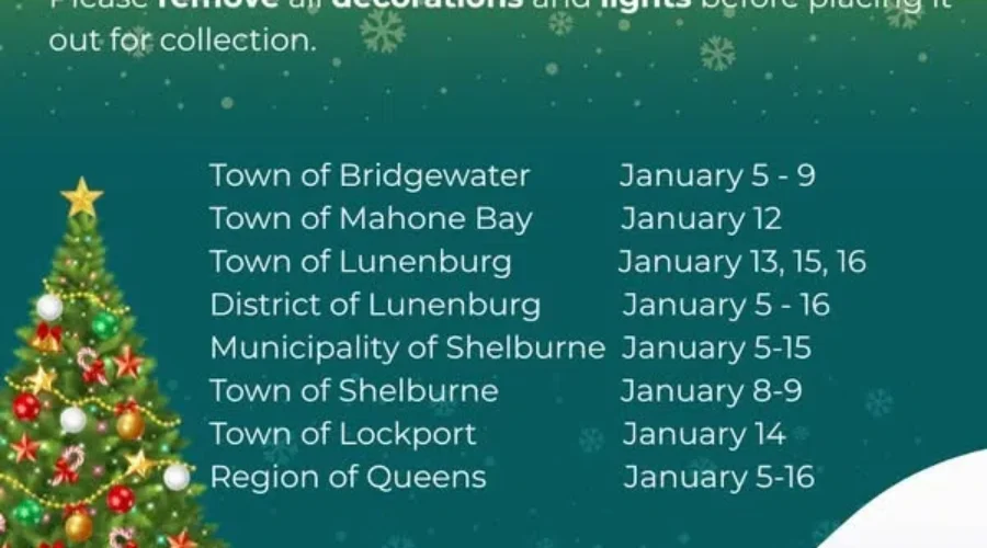 Christmas Tree Waste Collection Dates