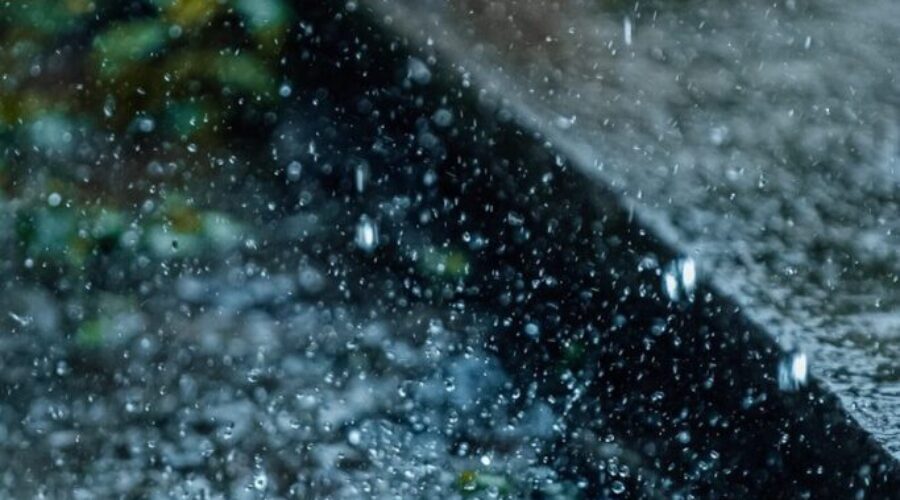 That Fresh Smell After Rain Has a Name