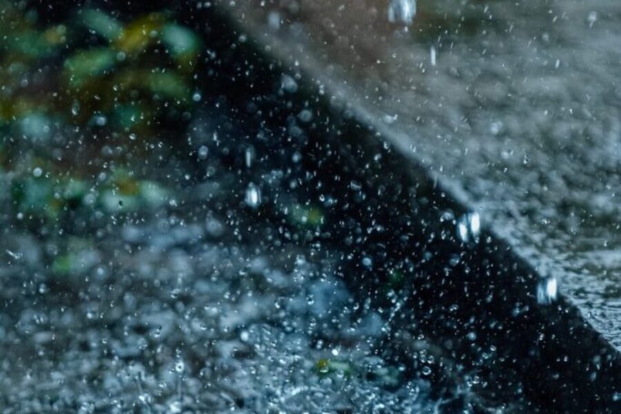 That Fresh Smell After Rain Has a Name
