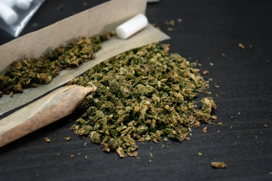 Five shops hit in latest N.S. cannabis crackdown