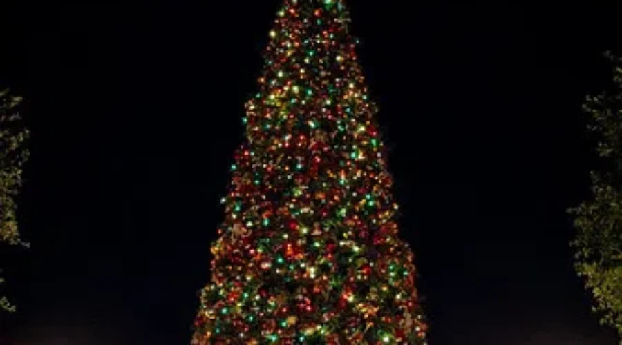 What Is The “Real Green” Choice?