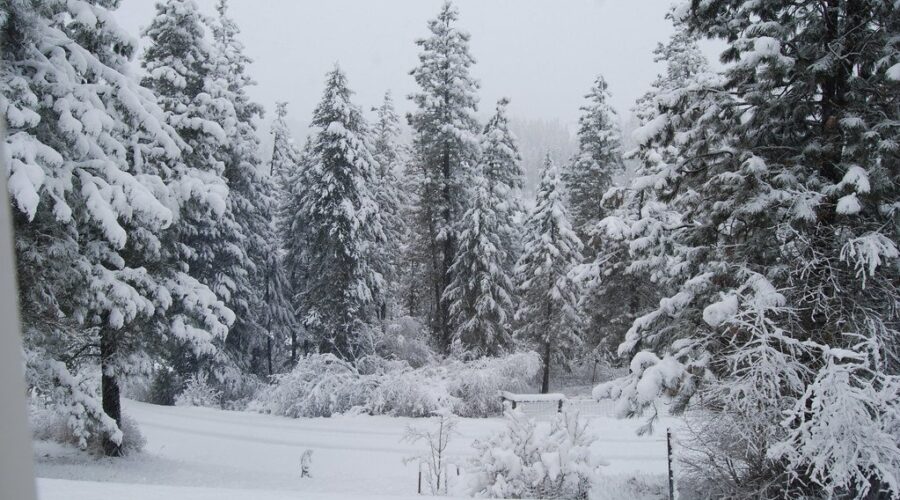 Snowfall amounts since Sunday in NS