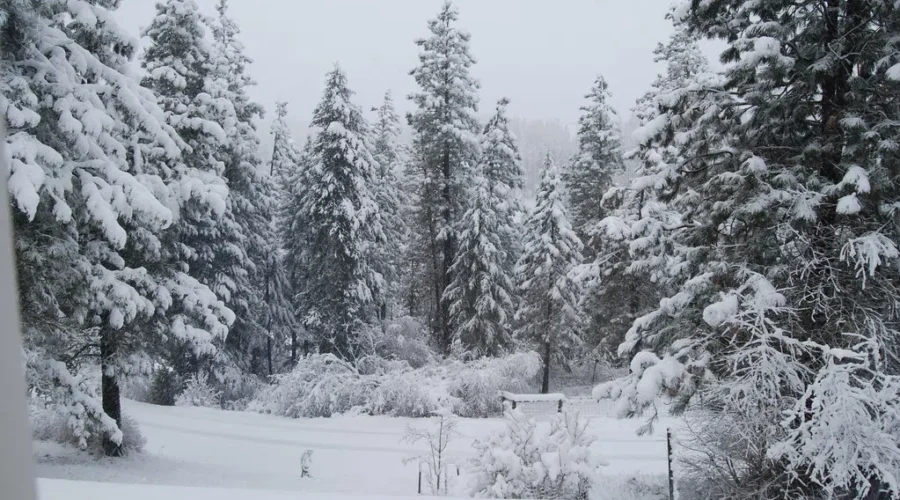 This Might Help Cool You Off