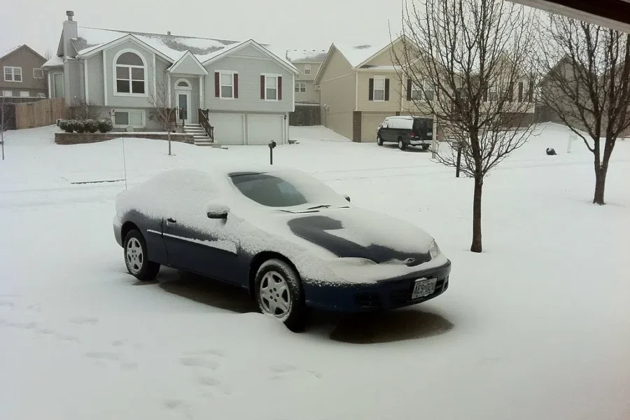 Winter Prep Tips For Our Trapped Snowbirds