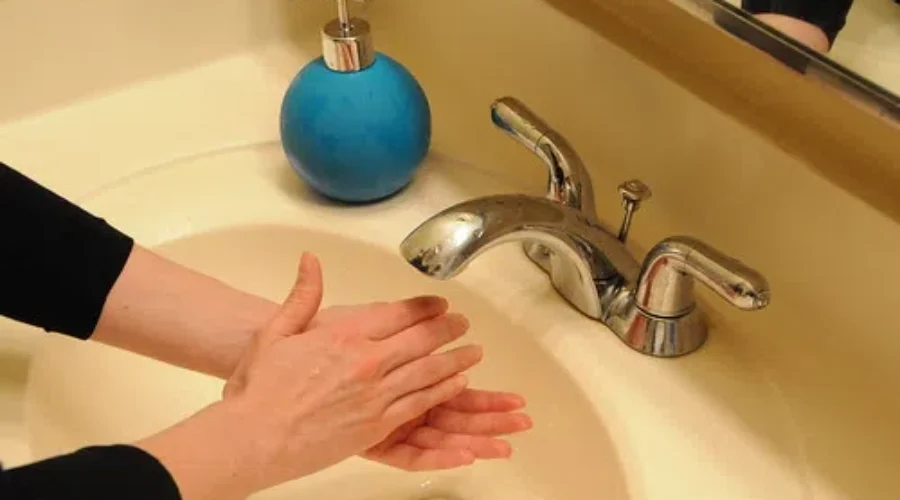 Did You WASH YOUR HANDS???