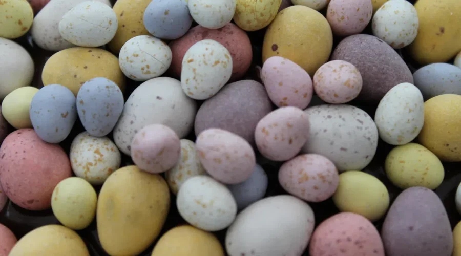 Easter Rock Hunt!! How Many Can You Find???