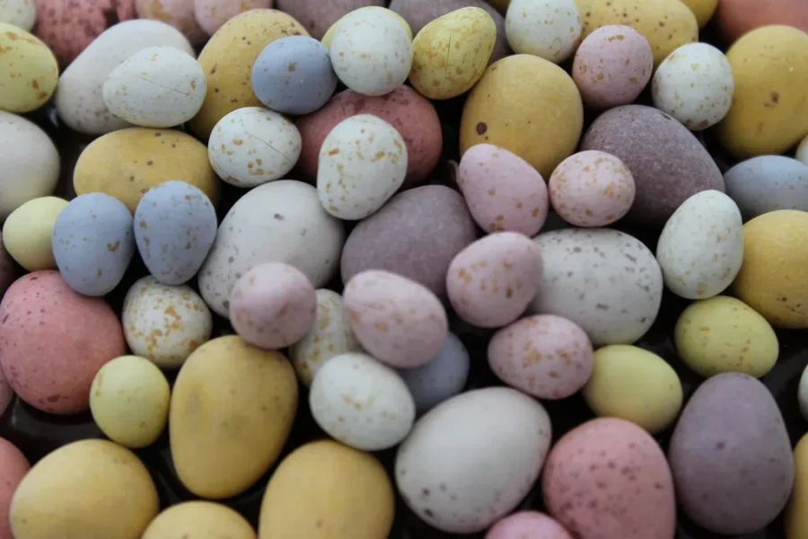 Easter Rock Hunt!! How Many Can You Find???