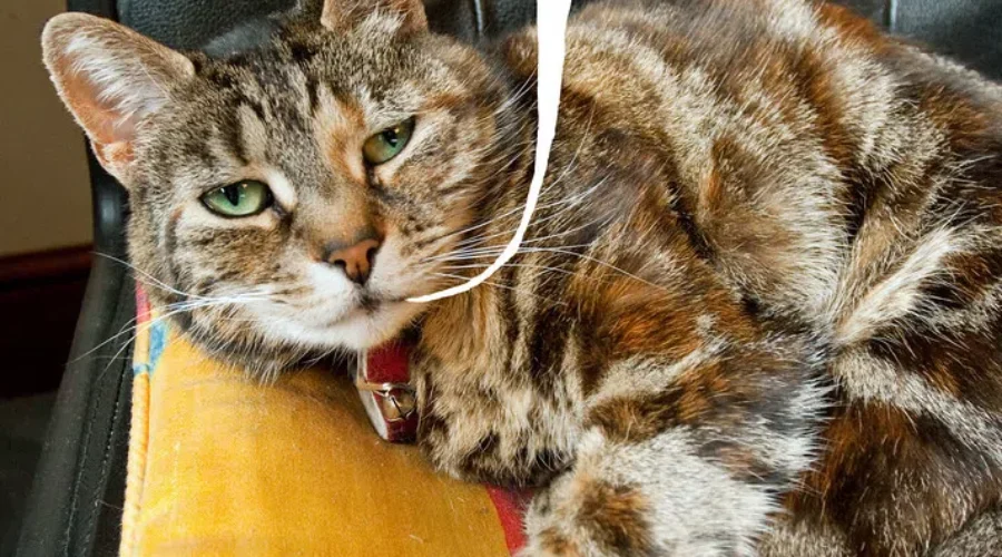 Do You Have A Spot? You Are Not Alone.