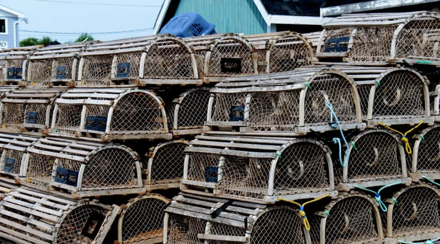 You Can Help Bring Back The Lunenburg “Lobster Trap Christmas Tree”! Here’s How!!!