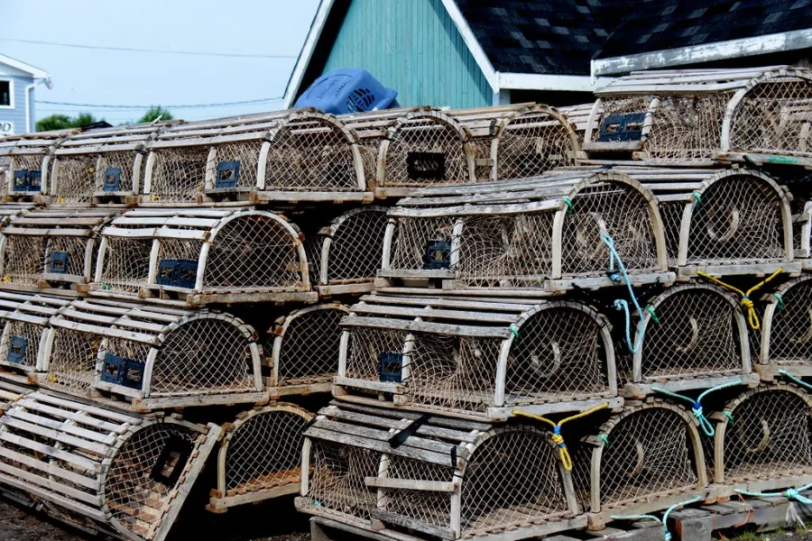 You Can Help Bring Back The Lunenburg “Lobster Trap Christmas Tree”! Here’s How!!!