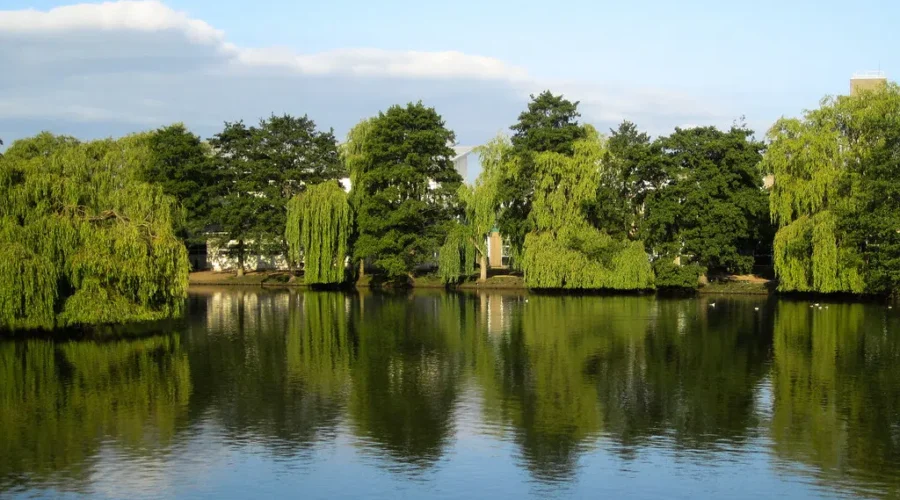 Here’s What You Can Expect Weather Wise For This Summer!!!