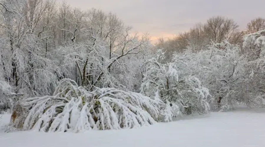 2020 Has more Surprises…Like An Interesting Winter!! Here’s The Farmers Almanac’s Prediction.