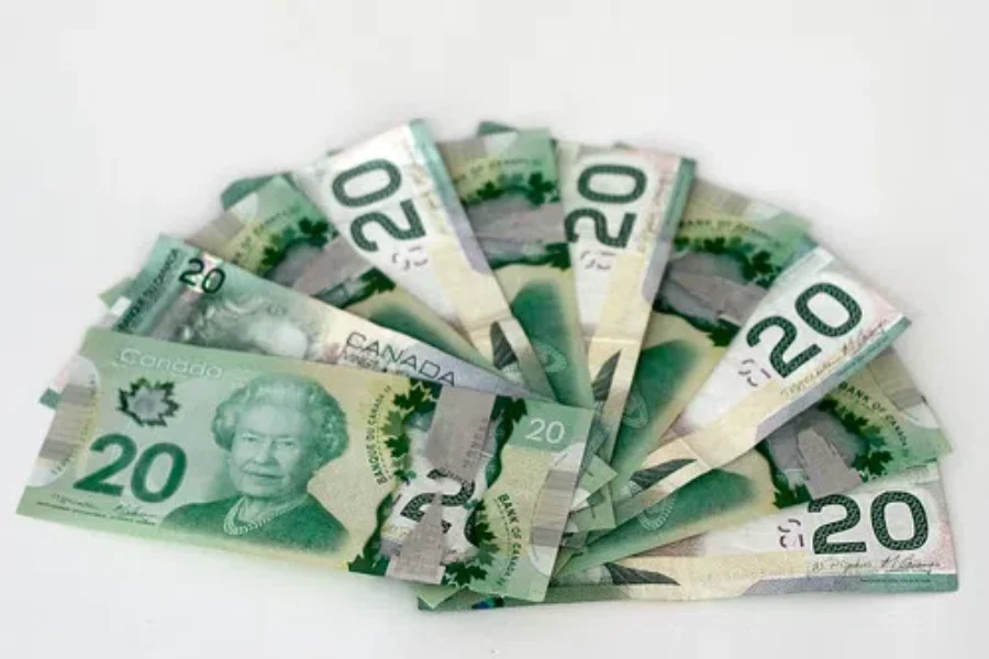 Canada Could Be the First Country To Get Rid Of Cash Money!!!