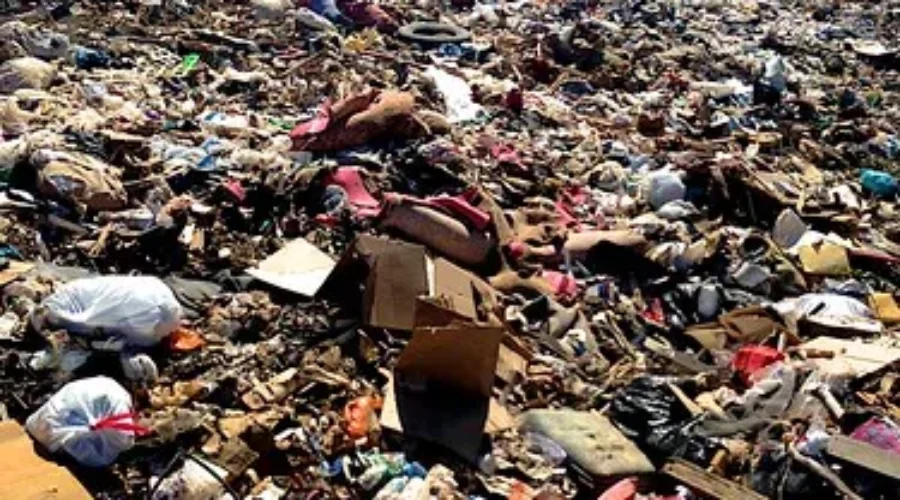 Most Excited For Normal Things, Like Dropping Garbage At The Dump