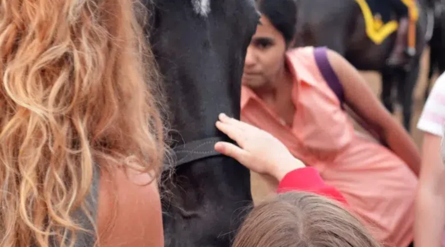 You Could Be Welcoming One Of These Iconic Horses To Your Home!