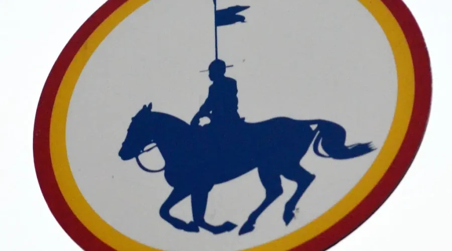 Now They Have Names. Check Out The Results Of The RCMP “Name The Foal” Contest 2023