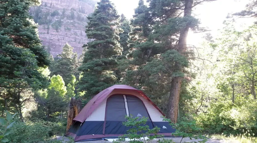 Make Your Camping Plans NOW! Here Are The Links