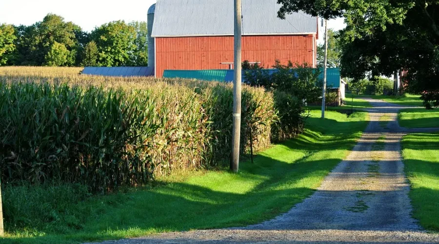 Explore Farming This Sunday – Open Farm Day 2021