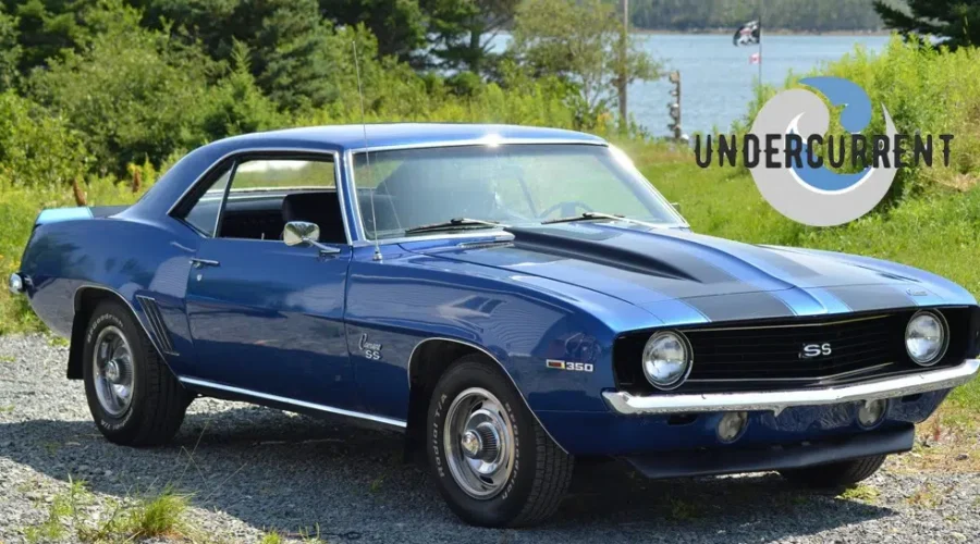 “Plate Shaming”, A Fear, Especially If You Own This Auction Item