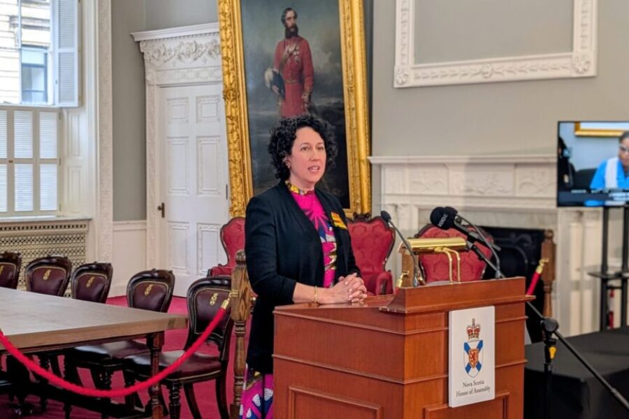NDP calls for impact analysis of budget before it passes