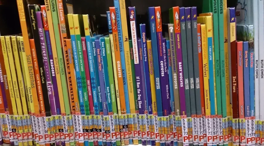 WATCH: Dolly Parton Is Here To Read You A Bedtime Story!!!