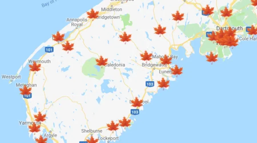 Time For A Photoshoot!! Here Is The Best Spots To Capture The Beautiful Leaves On the South Shore!!!