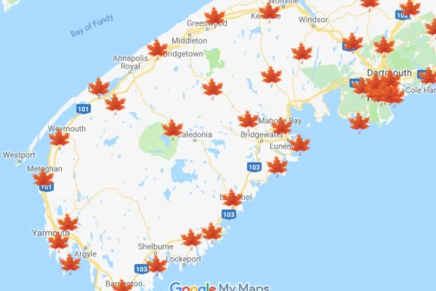 Time For A Photoshoot!! Here Is The Best Spots To Capture The Beautiful Leaves On the South Shore!!!