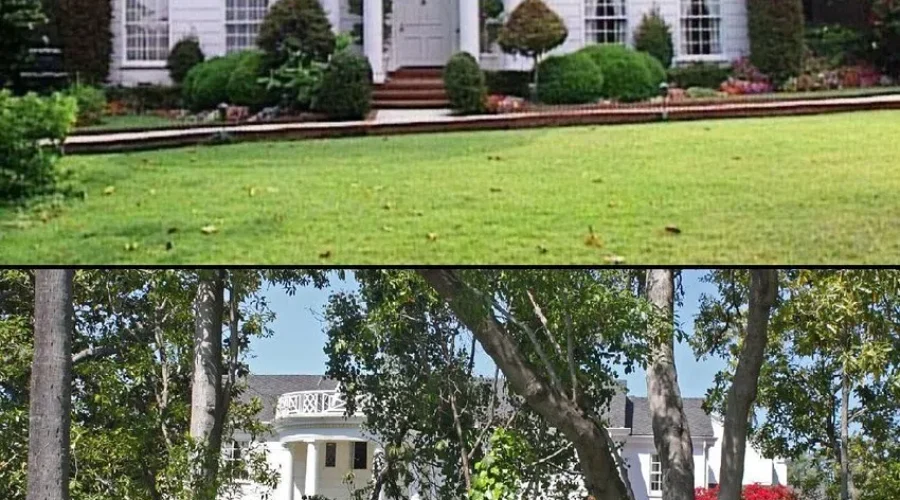 You Could Live Like A Prince For Only $30, If Only The Borders Were Open.