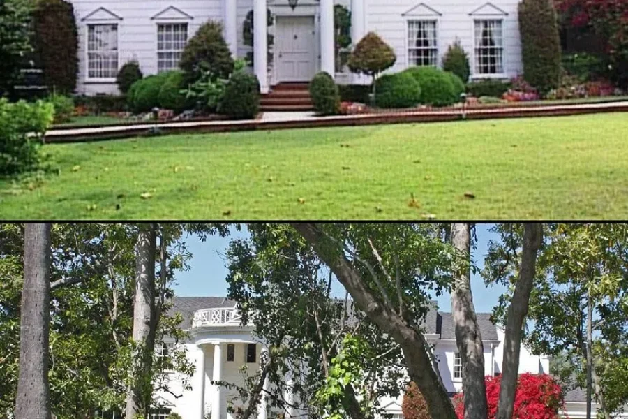 You Could Live Like A Prince For Only $30, If Only The Borders Were Open.