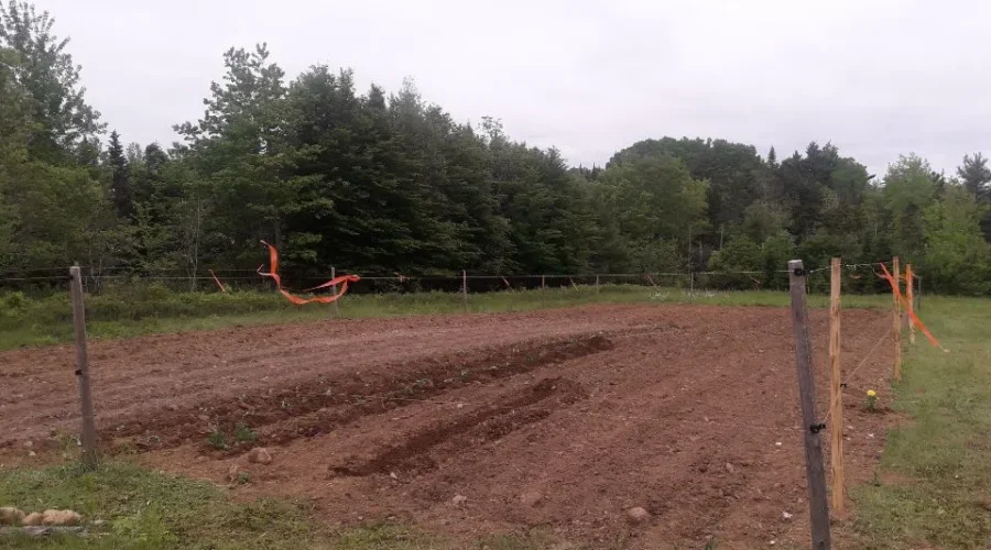 Please Start Growing And Grow On