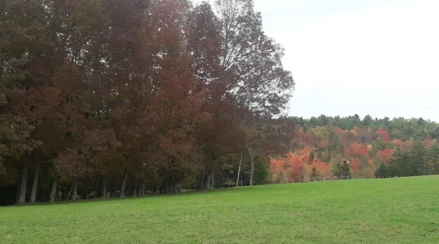 Why Are Some Years NICE And This Year WOW?