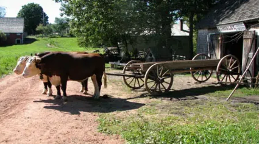 You Can Check Out Provincial Museums This Summer For FREE!!!