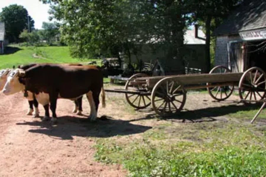 You Can Check Out Provincial Museums This Summer For FREE!!!