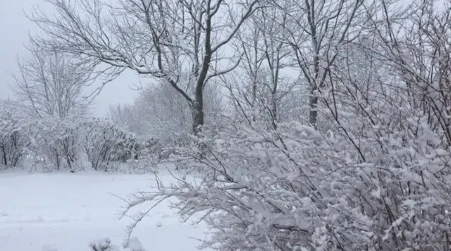 Snow in October!! Would You Like Some??