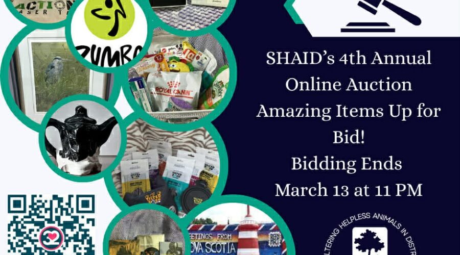 SHAID Tree Animal Shelter – 4th annual online auction is live